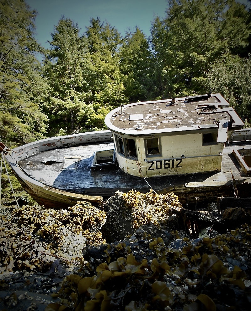 Birds Nest Bay wreck