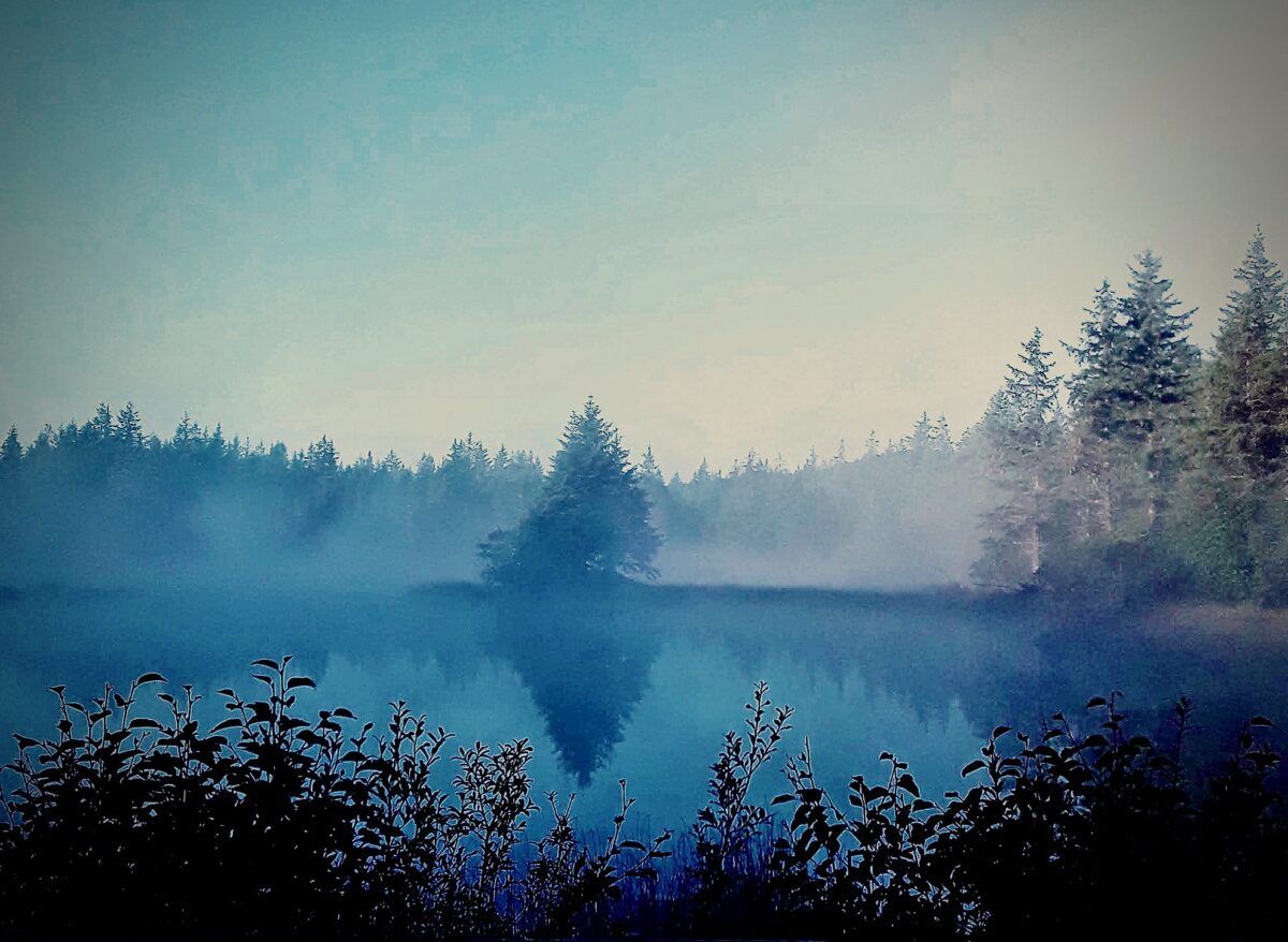 Beav's Pond