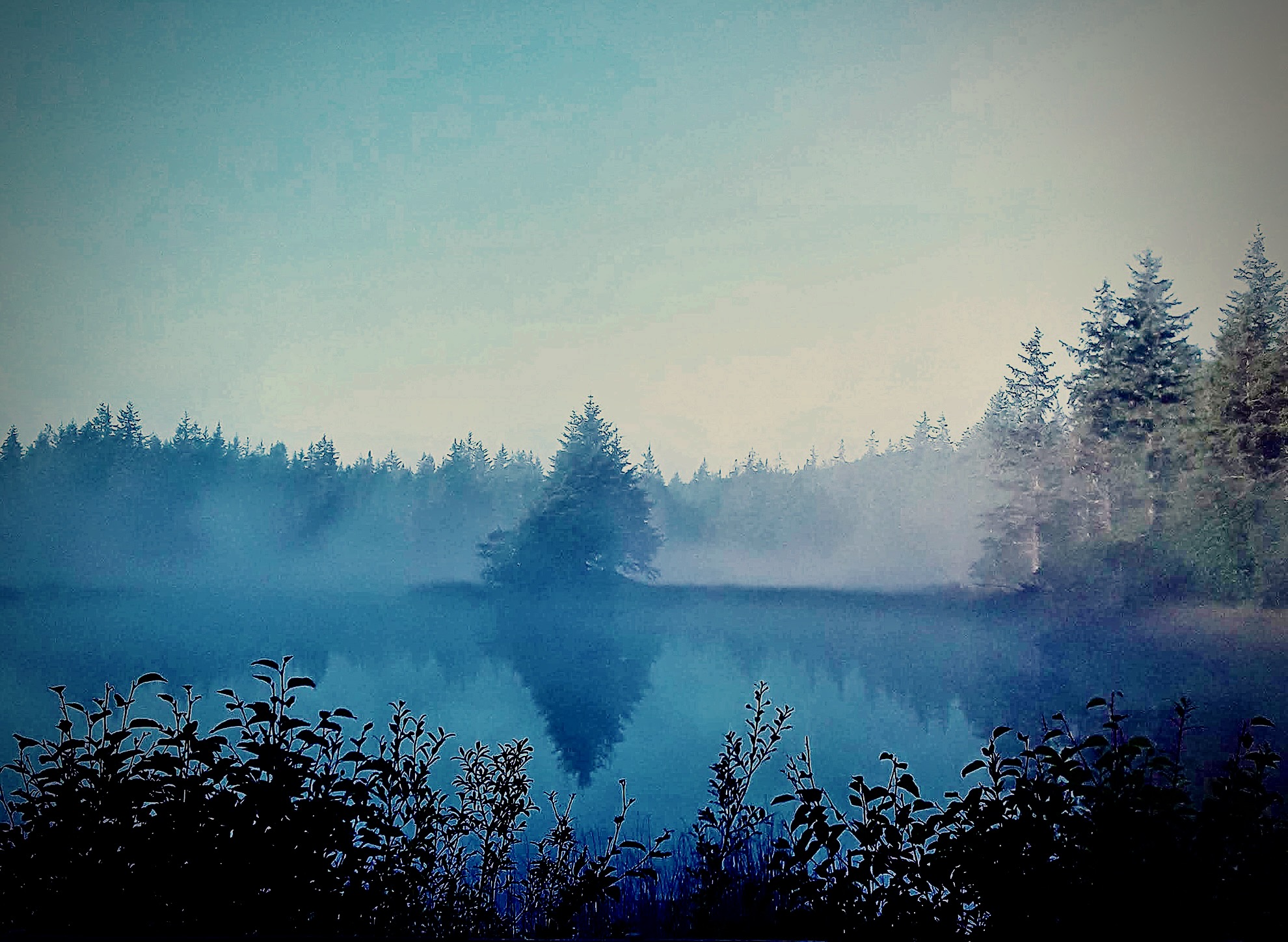 Beav's Pond
